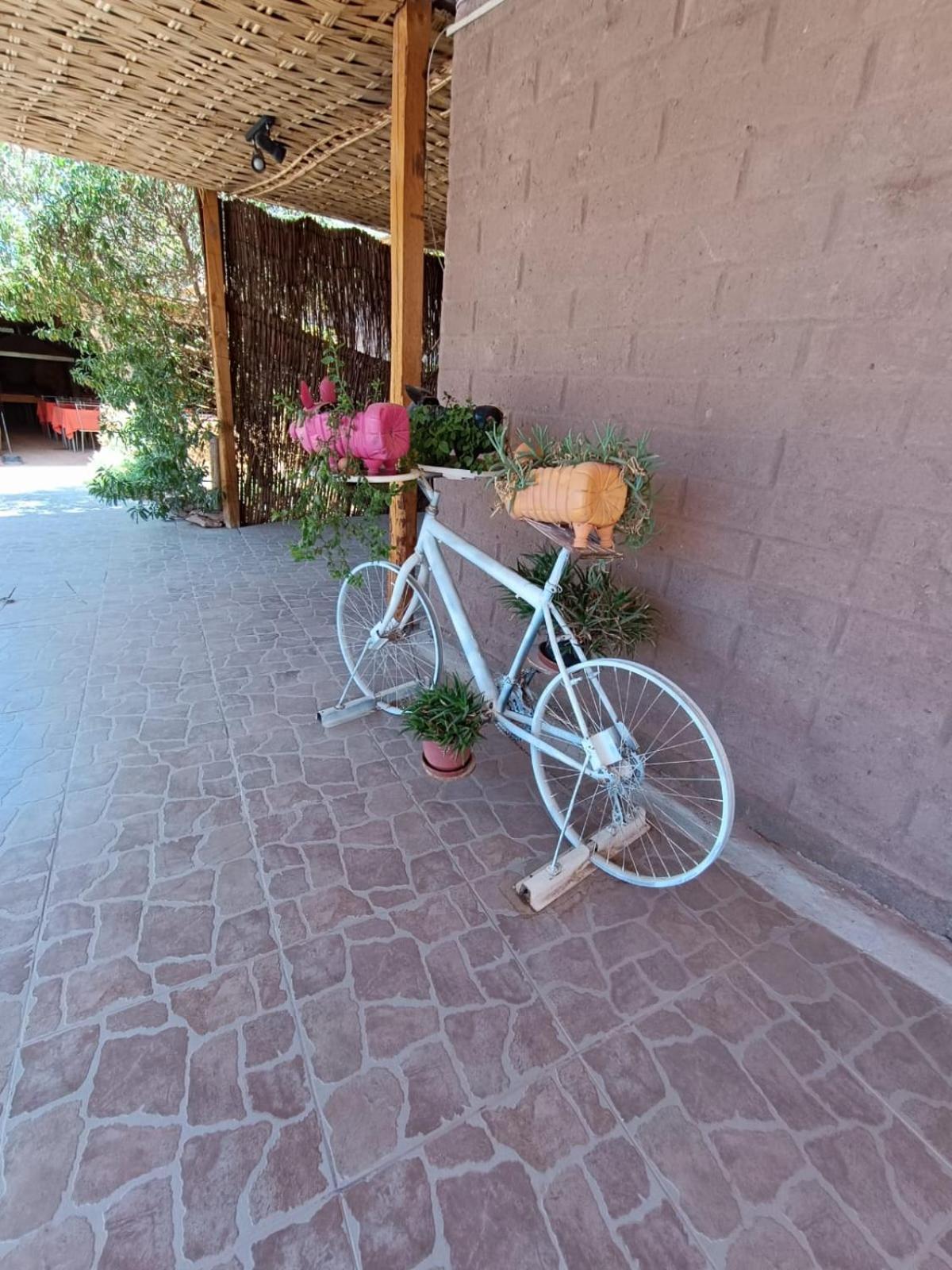 Hostal Km Zero El Huertillo San Pedro de Atacama Kültér fotó